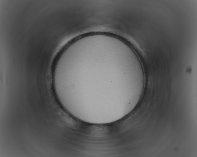 X0000089441270200707131858