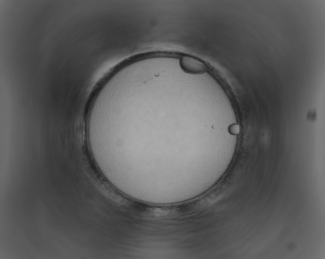 X0000089441271200707131858