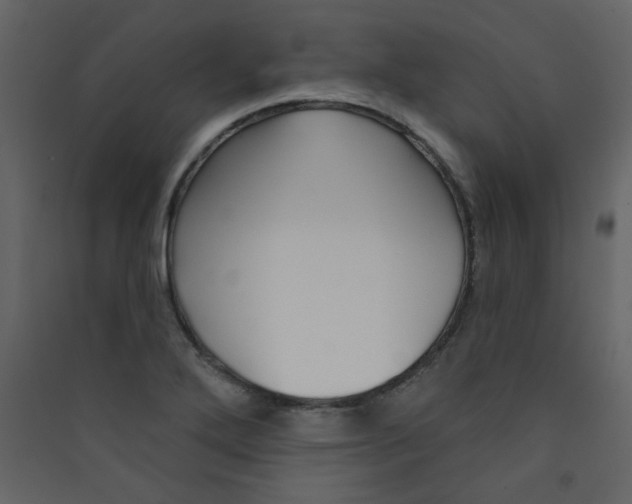 X0000089441272200707131858