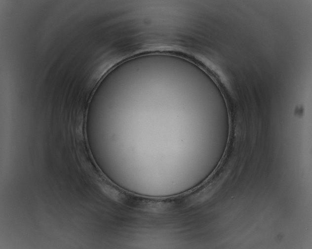 X0000089441273200707131858