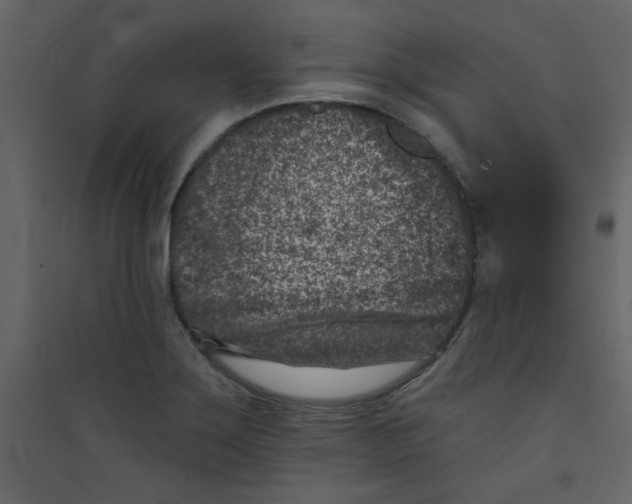 X0000089441275200707131858