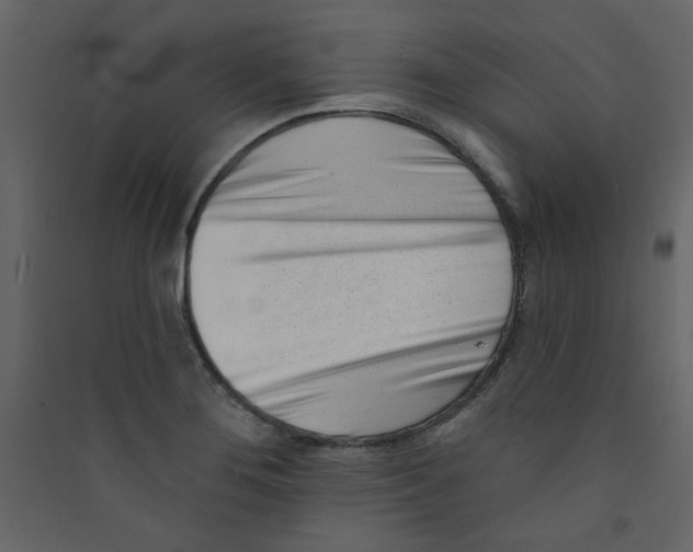 X0000089441276200707131858