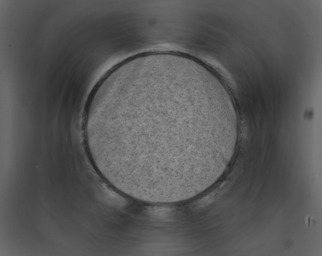 X0000089441278200707131858