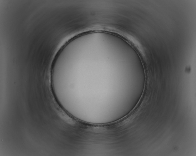 X0000089441280200707131858