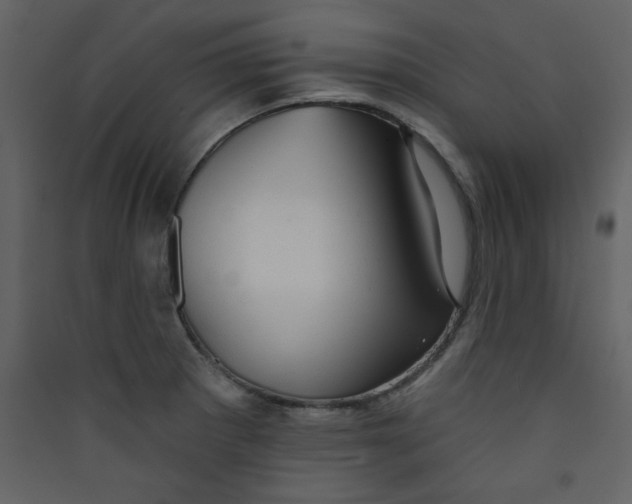 X0000089441281200707131858