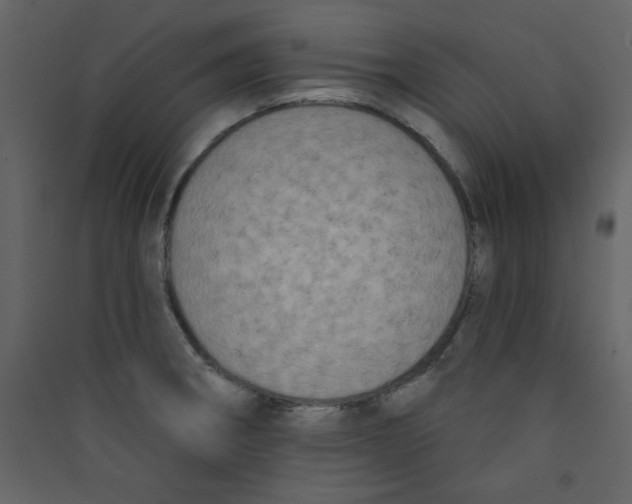 X0000089441282200707131858