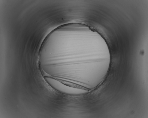 X0000089441284200707131858