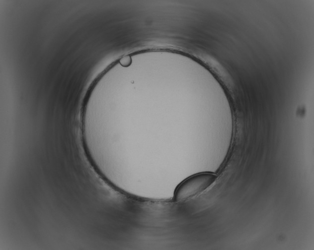 X0000089441286200707131858