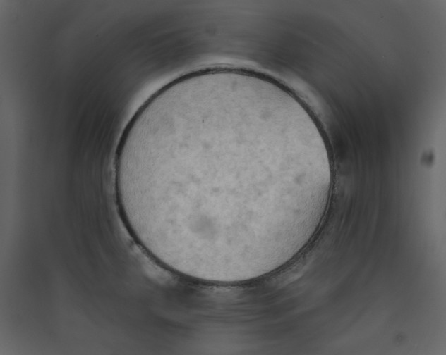 X0000089441287200707131858