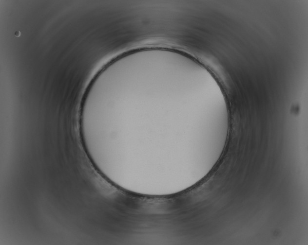 X0000089441288200707131858