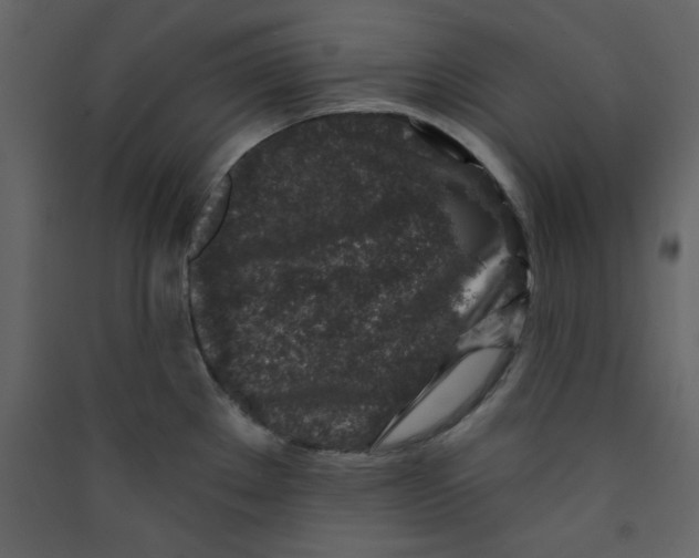 X0000089441289200707131858