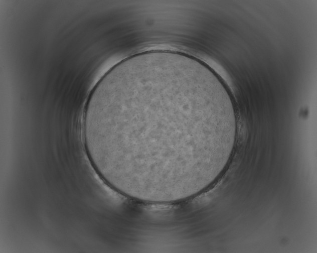 X0000089441290200707131858