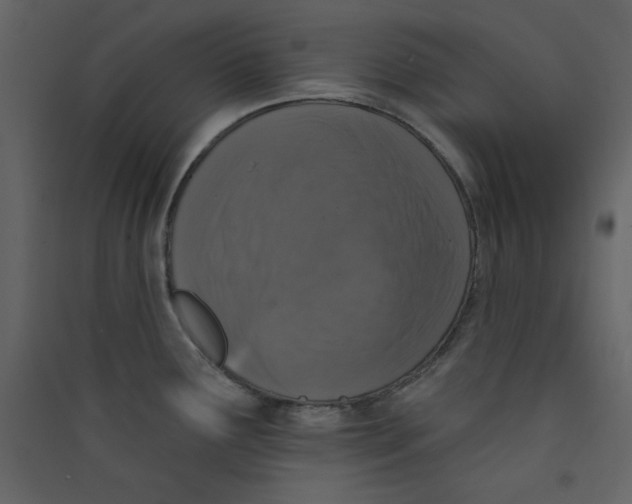 X0000089441291200707131858