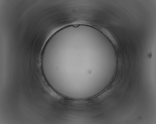X0000089441292200707131858
