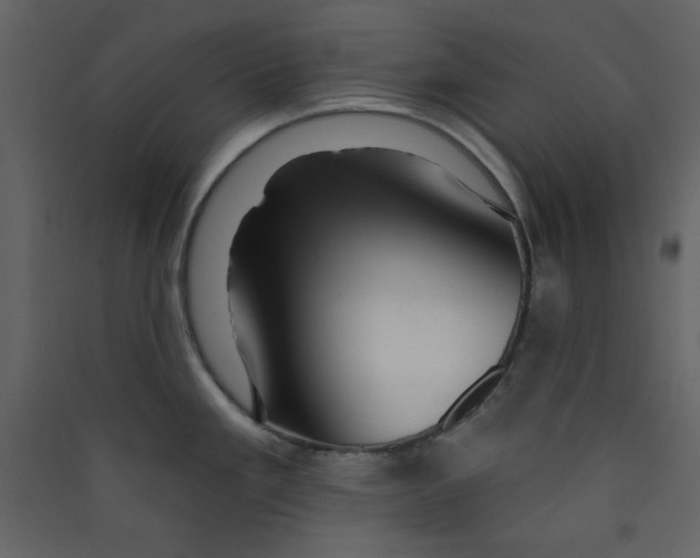 X0000089441293200707131858