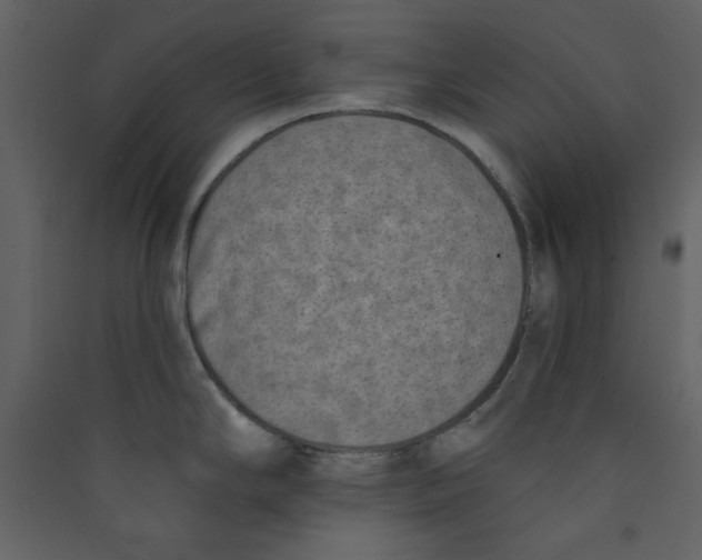 X0000089441294200707131858