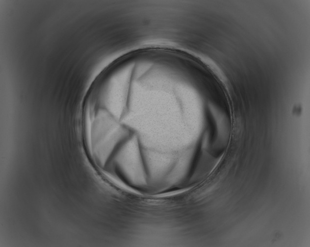 X0000089441295200707131858