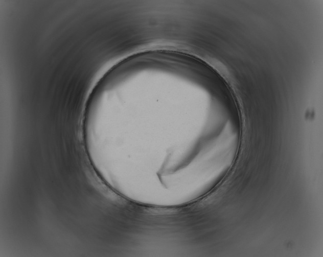 X0000089441296200707131858