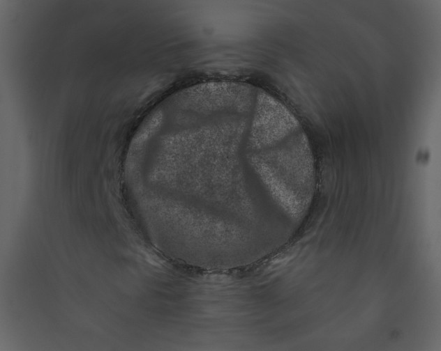 X0000089441297200707131857