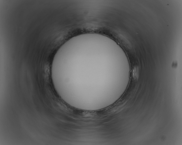 X0000089441299200707131857