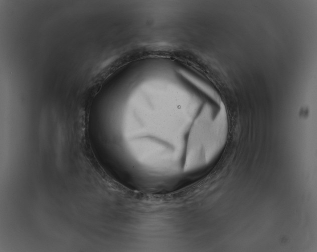 X0000089441301200707131857