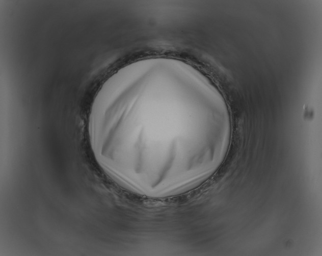 X0000089441302200707131857