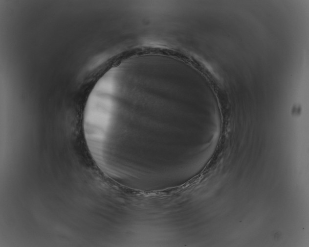 X0000089441303200707131857