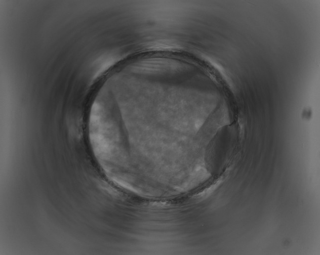 X0000089441306200707131857