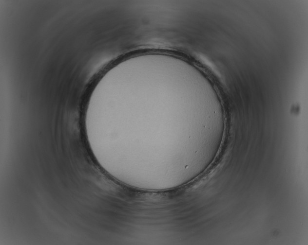 X0000089441307200707131857
