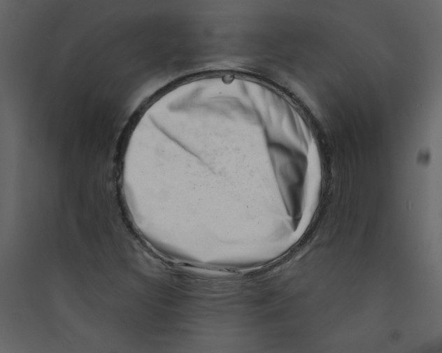 X0000089441308200707131857