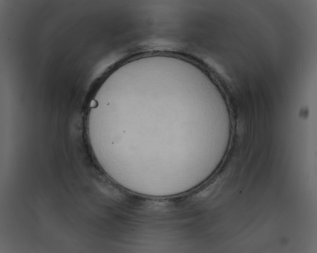 X0000089441309200707131857