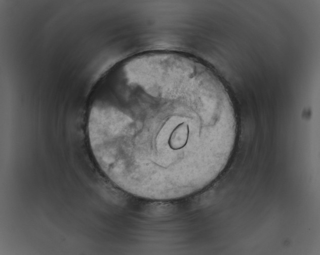X0000089441314200707131858