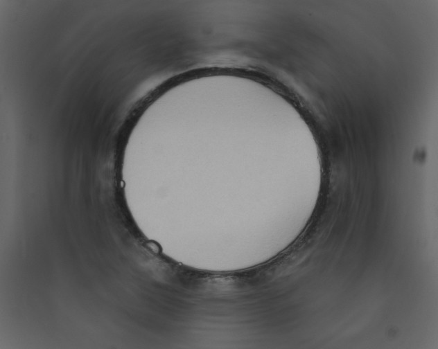 X0000089441315200707131858
