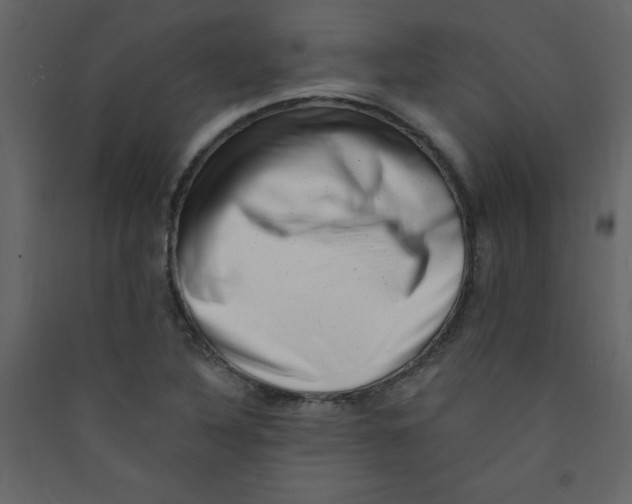 X0000089441316200707131858
