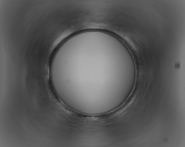 X0000089441317200707131858