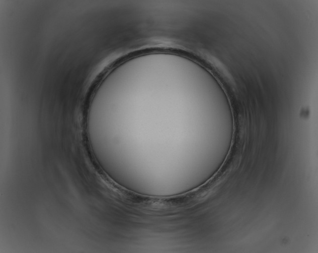 X0000089441318200707131858
