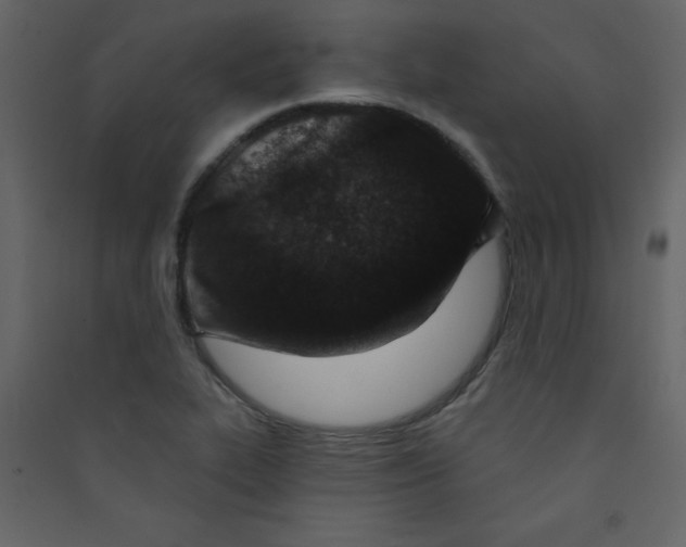 X0000089441319200707131858