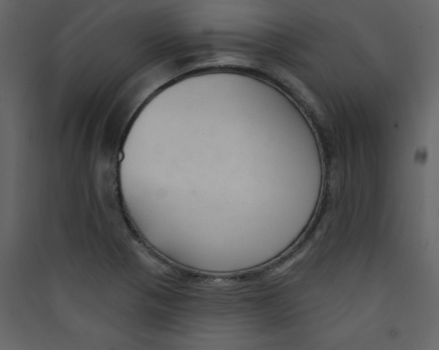 X0000089441321200707131858