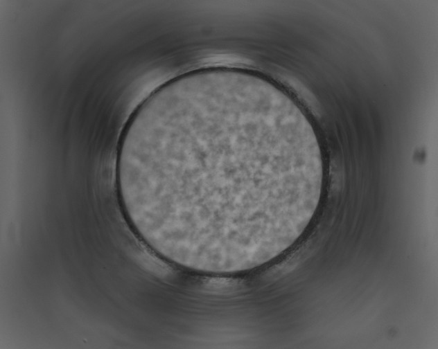 X0000089441322200707131858