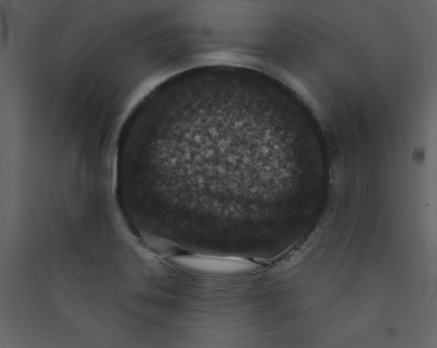 X0000089441323200707131858