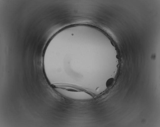 X0000089441324200707131858
