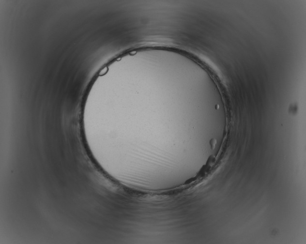 X0000089441325200707131858