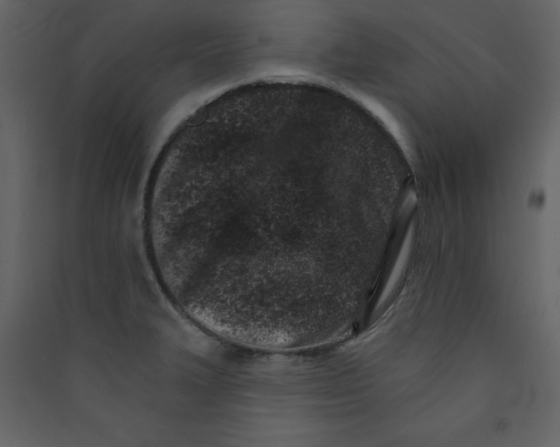 X0000089441327200707131858