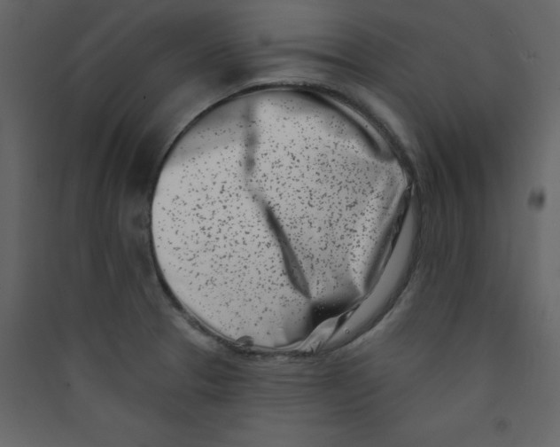 X0000089441329200707131858