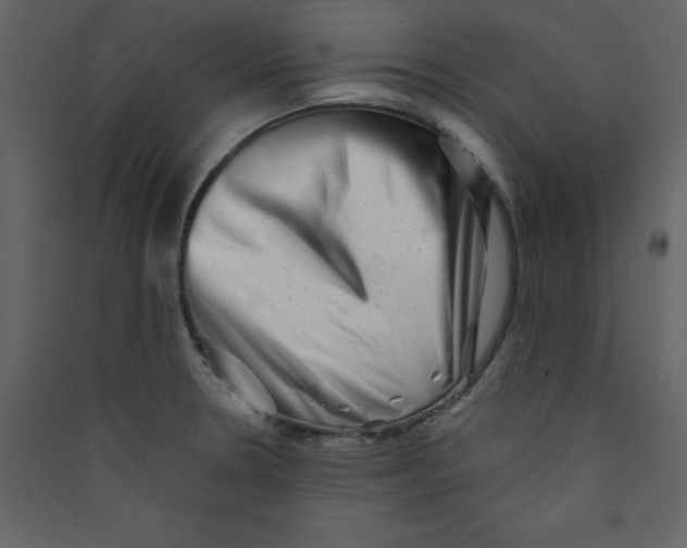 X0000089441330200707131858