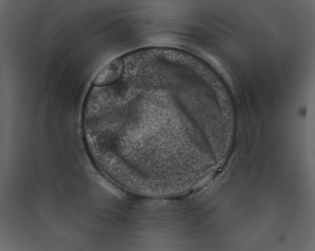 X0000089441331200707131858