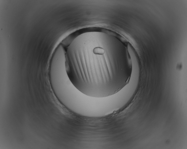 X0000089441332200707131858