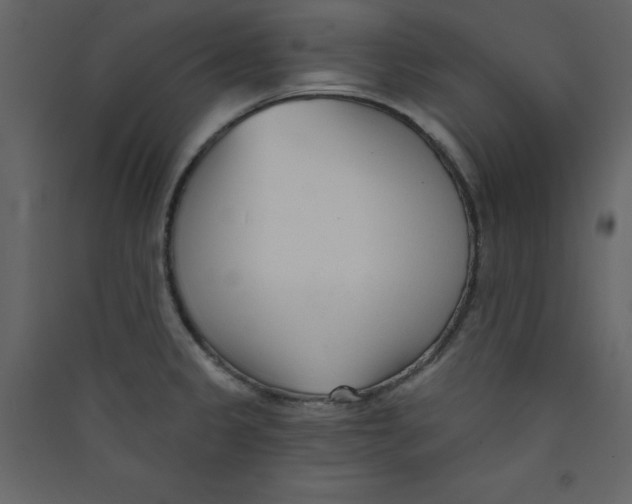 X0000089441333200707131858