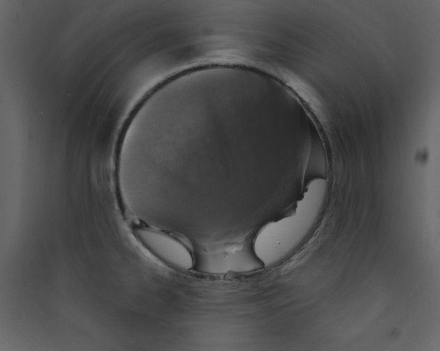 X0000089441334200707131858