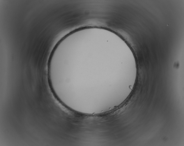 X0000089441335200707131858